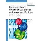 Click here to buy Encyclopedia of Molecular Cell Biology and Molecular Medicine, Triplet Repeat Diseases to Zebrafish... by Robert A. Meyers.
