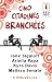 Cinq citadines branchées : Mi...