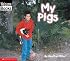 My Pigs (My Farm)