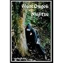 Black Dragon Ninjitsu