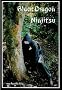Black Dragon Ninjitsu: Formen und Techniken