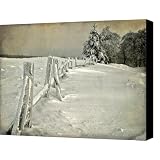 Mother Nature Canvas Print / Canvas Art - Artist Lois Bryan