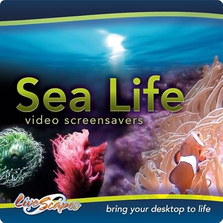Sea Life Collection [Download]