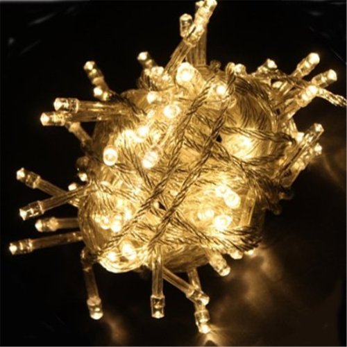 PYSICAL(TM) 10M 100 LED Fairy Light String Holiday Lights for Christmas Party (Warm White)