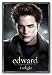 Twilight - Edward Solo by Anonymous 36x24 Art Print Poster