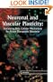 Neuronal and Vascular Plasticity:: Elucidating Basic Cellular Mechanisms for Future Therapeutic Discovery