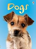 Dogs