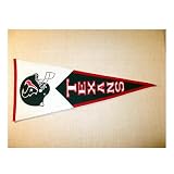 Houston Texans Classic Wool Blend Pennant