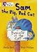 Books : Sam and the Big Bad Cat: Band 03/Yellow (Collins Big Cat)