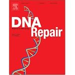 Francis crick, discoverer of the genetic code [A book review from: DNA Repair] book cover