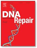 An overview of three new disorders associated with genetic instability: LIG4 syndrome, RS-SCID and ATR-Seckel syndrome [An article from: DNA Repair]
