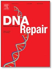 Accelerated aging pathology in ad libitum fed Xpd^T^T^D mice is accompanied by features suggestive of caloric restriction [An article from: DNA Repair]