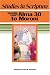Books : Studies in Scripture, Vol. 8: Alma 30 to Moroni