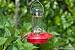 Hummingbird Feeder, WLA 8oz Best-1 in Gift Box