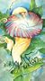 The Feminine Unfolding: An Exploration of Yoga with Angela Farmer [VHS]