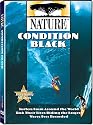 Nature: Condition Black