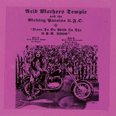 Born to Be Wild in the USA 2000