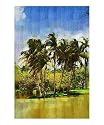 Coconut palm trees , Oil painting Fairchild Tropical Garden in Coral Gables, Florida. Botanical Giclee Poster Print by Palm Images, 8x10