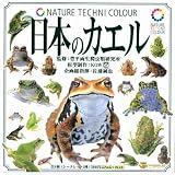 ���ץ��� NATURE TECHNI COLOUR ���ܤΥ����� �Ρ��ޥ�7�糧�å�