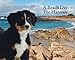 A Beach Day for Hannah (Mountain Dog Books)