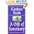 A Gift of Sanctuary: The Sixth Owen Archer Mystery (Owen Archer Mysteries)