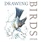 Nature Drawing
