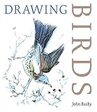 Drawing Birds