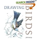 Click here to buy Drawing Birds by  John Busby.