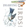 Drawing Birds
