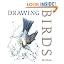 Drawing Birds