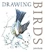 Drawing Birds