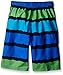 Kanu Surf Boys' Voodoo Swim Trunks