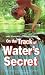On the Track of Water's Secret
