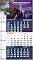 3-Monatskalender Berlin-...