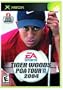 Tiger Woods PGA Tour 2004