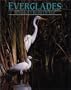 Everglades: Wondrous River of Life