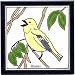 BIRD_TRIVETS_WARBLER TILE by Besheer Art Tile, Bedford, New Hampshire, U.S.A.