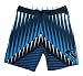 Quiksilver Mens No Teeth Boardshorts (34, Navy)