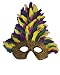 Costumes For All Occasions TI53 Mask Mardi Gras Tall Feather