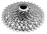 SRAM XX 11-36T 10-Speed Cassette