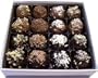 Bite-Size Marzipan Truffles - Assorted 16 pcs