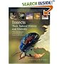 Insects: Their Natural History and Diversity: With a Photographic Guide to Insects of Eastern North America