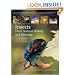Insects: Their Natural History and Diversity: With a Photographic Guide to Insects of Eastern North America