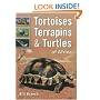 Tortoises, Terrapins & Turtles of Africa