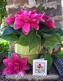 FLOWERPENGIFTS.COM