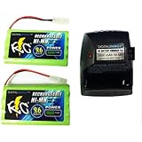Digital Energy 9.6v RC Battery Charger with 2 Battery Packs