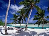 Person Relaxing in Hammock Under Palm Trees on White Sand Beach, Cook Islands Lonely Planet Collection Photographic Poster Print by Manfred Gottschalk, 16x12
