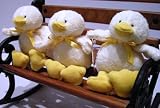 Plush Baby Chick Collection (Set of 3)