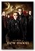 Twilight 2 - New Moon Movie Poster - Volturi 36