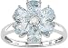 10K White Gold 1/10ct. Diamond & Aquamarine Flower Ring
